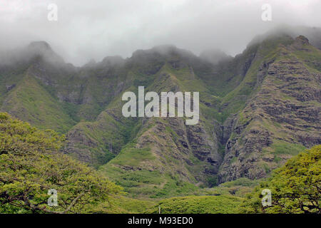 Montagnes couvertes de jungle dans le brouillard dans la vallée de Kaaawa sur la côte de l'île d'Oahu, Hawaii Banque D'Images