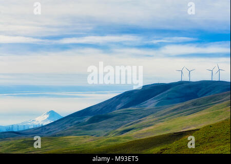 Éoliennes sont hauts placés et stark contre le haut désert paysage de collines dans la gorge du Columbia avec Mt. Capuche dans la distance Banque D'Images