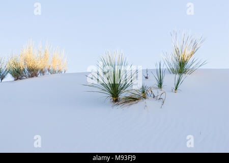 Le parc national de White Sands (anciennement Monument national) est un parc national des États-Unis situé dans la région sud-est de l'État du Nouveau-Mexique. Banque D'Images