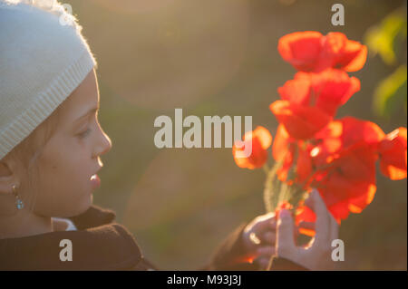 Petite fille mignonne avec bouquet de coquelicots dans ses mains chaudes illuminée par la lumière au coucher du soleil au début du printemps Banque D'Images