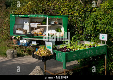 Des légumes biologiques vendus sur route avec honnêteté fort,Îles Scilly,Angleterre,Europe Banque D'Images