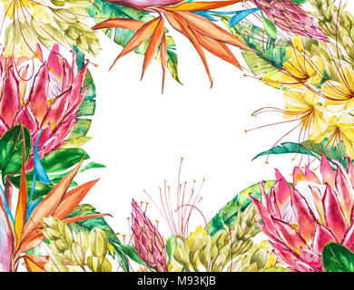 Vierge tropical pour le texte. Aquarelle Protea, Caesalpinia et fleurs de Strelitzia. Parfait pour un mariage ou une invitation, cartes de souhaits Banque D'Images