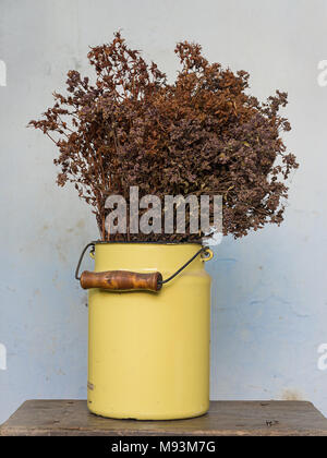 Décoration maison concept : prairie séchées des fleurs dans un pot en métal jaune sur le vieux banc de bois avec des clous qui sort Banque D'Images