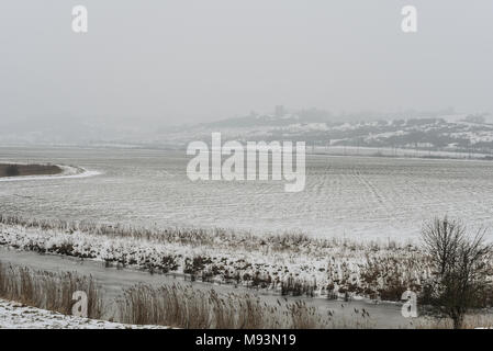 Hadleigh Country Park et Château dans l'Essex avec de la neige sur le sol de la bête du phénomène météorologique de l'est. ruisseau de rivière gelé Banque D'Images