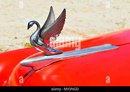 Vintage Car bonnet, Varadero, Cuba Banque D'Images