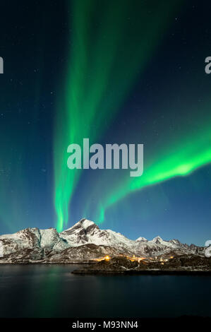 Northern Lights dans les Lofoten, Norvège Banque D'Images