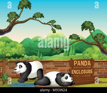 Deux pandas dans le zoo ouvert illustration Illustration de Vecteur