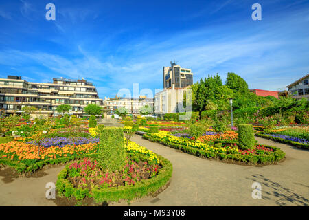 Jardin pittoresque de Santa Barbara ou Jardim de Santa Barbara dans le centre-ville de Braga, au nord du Portugal. Fleurs colorées dans la saison estivale. Copier l'espace. Banque D'Images