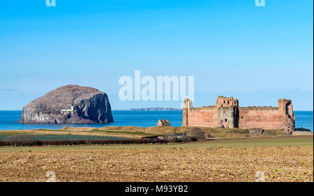 Vue sur le Château de Tantallon et Bass Rock dans la région de East Lothian, Ecosse, Royaume-Uni Banque D'Images