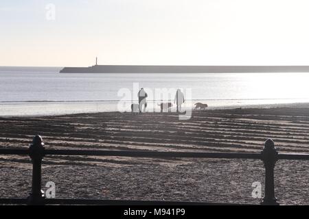 Matin Dog Walkers sur la plage à Roker, Sunderland Tyne et Wear Banque D'Images