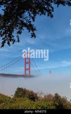 L'emblématique pont du Golden Gate, à faible brouillard sous le pont, sur un début de matinée de printemps, San Francisco, California, United States. Banque D'Images
