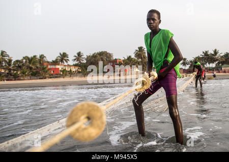 Les pêcheurs dans le village côtier de Kotu, Gambie, tirer dans leur filet de pêche dans l'espoir d'attraper le barracuda pour les touristes. Banque D'Images