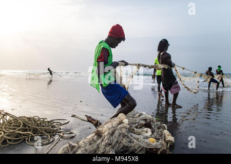 Les pêcheurs dans le village côtier de Kotu, Gambie, tirer dans leur filet de pêche dans l'espoir d'attraper le barracuda pour les touristes. Banque D'Images