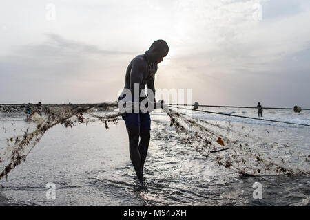 Les pêcheurs dans le village côtier de Kotu, Gambie, tirer dans leur filet de pêche dans l'espoir d'attraper le barracuda pour les touristes. Banque D'Images