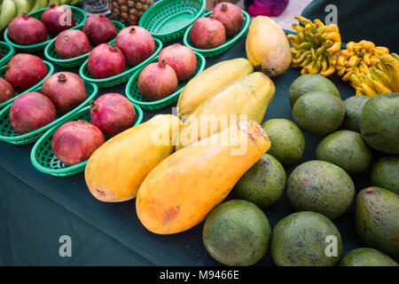 Fruit sur le marché des producteurs de West Palm Beach Banque D'Images