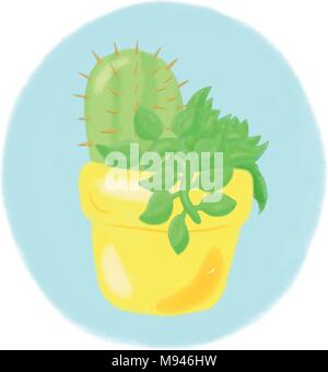 Cactus et plantes grasses en pots Illustrations vectorielles Illustration de Vecteur