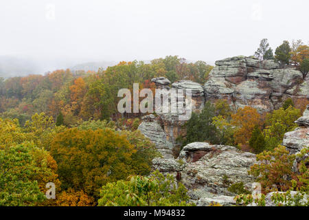 63895-15702 Camel Rock à l'automne Le Jardin des Dieux Shawnee National Forest Co Saline IL Banque D'Images