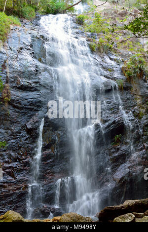 Dans Ballanjui Falls Parc National de Lamington, Queensland, Australie. Banque D'Images