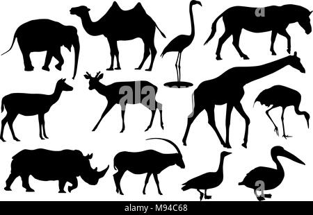 Les animaux et les oiseaux sauvages. Icônes silhouette noire Illustration de Vecteur