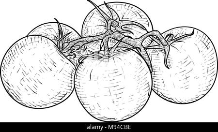 Les tomates. Croquis dessinés à la main, Illustration de Vecteur