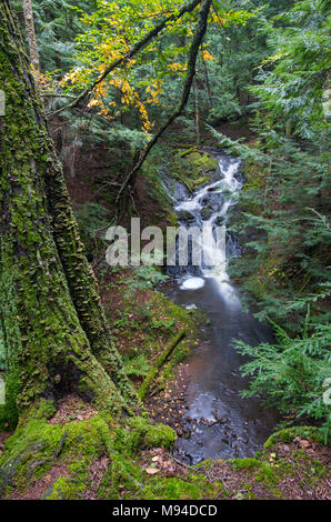 Peu d'Union européenne River Gorge, montagnes Porcupine SP, MI, USA, fin septembre, par Dominique Braud/Dembinsky Assoc Photo Banque D'Images