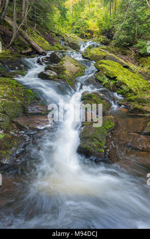 # 1 Union Falls, montagnes Porcupine SP MI USA, fin septembre, par Dominique Braud/Dembinsky Assoc Photo Banque D'Images