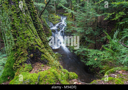 Peu d'Union européenne River Gorge, montagnes Porcupine SP, MI, USA, fin septembre, par Dominique Braud/Dembinsky Assoc Photo Banque D'Images