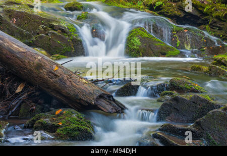 # 1 Union Falls, montagnes Porcupine SP MI USA, fin septembre, par Dominique Braud/Dembinsky Assoc Photo Banque D'Images