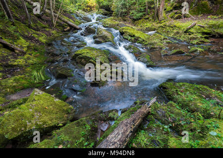 # 1 Union Falls, montagnes Porcupine SP MI USA, fin septembre, par Dominique Braud/Dembinsky Assoc Photo Banque D'Images