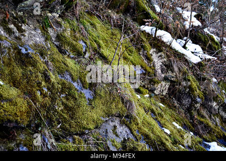 La photographie de nature extraordinaire. Banque D'Images