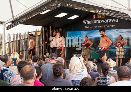 Nouvelle zélande Rotorua Nouvelle zélande Rotorua whakarewarewa divertissement culturel maori maori avec danseurs nz île du nord Nouvelle-Zélande Océanie Banque D'Images