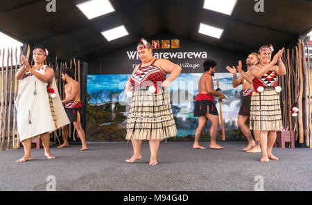 Nouvelle zélande Rotorua Nouvelle zélande Rotorua whakarewarewa divertissement culturel maori maori avec danseurs nz île du nord Nouvelle-Zélande Océanie Banque D'Images