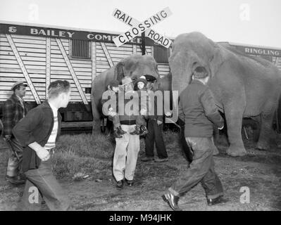 Un grand-père tient ses deux petits-enfants au milieu de l'agitation d'un train du cirque le déchargement, ca. 1955. Banque D'Images