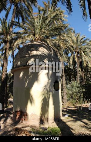 Pierre abandonnée entre vergers dovecot palm à Elche, Alicante Banque D'Images