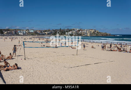 Volley-ball sur la plage de Bondi, Sydney, New South Wales, Australia Banque D'Images