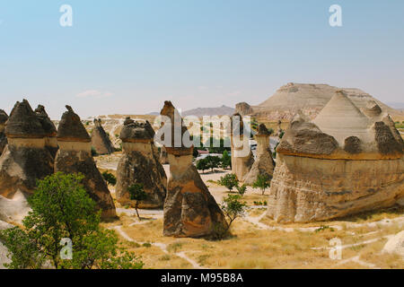 En forme de champignon de la vallée de Pasabag rock formation, cheminées de fées en Cappadoce, Turquie Banque D'Images