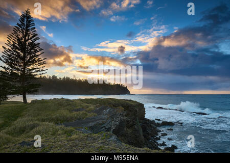 Coucher du soleil à Bay avec un cimetière Lone Pine Tree, l'île Norfolk Norfolk Island, Australie, Pacifique Sud Banque D'Images