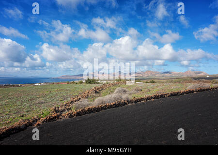 De belles vues au sud en direction de Puerto Calero et les montagnes, à travers un champ d'agriculture volcanique, Lanzarote Banque D'Images