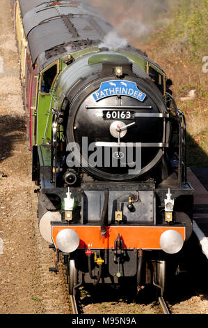 Classe A1 Pacifique No 60163 Tornado arrivant à Kemble avec le Thames Tornado railtour, 7th novembre 2009. Banque D'Images