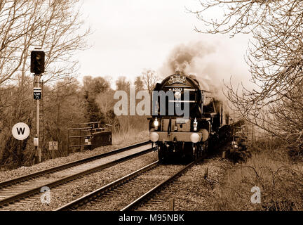 The Cathedrals Express qui traverse Pewsey, transporté par la classe A1 Pacific No 60163 Tornado. 14th février 2010. Banque D'Images