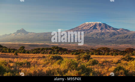 Sec aride savane africaine à la fin de soirée avec le Kilimandjaro, plus haut sommet en Afrique. Parc National d'Amboseli, Kenya Banque D'Images