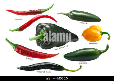 Les piments mexicains : Arbol, Pasilla, Guajillo, Poblano, Habanero, Jalapeno. Chemins de détourage Banque D'Images