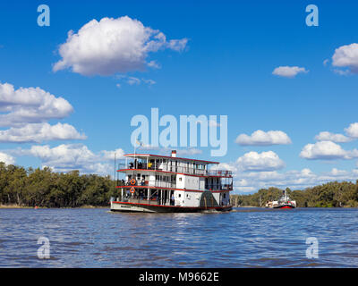 Flotille de bateaux à aubes sur le point de tourner de Murray River dans la rivière Darling. Banque D'Images