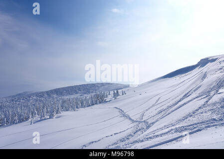Snow Monsters of Mt.Zao in Yamagata, Japan Banque D'Images