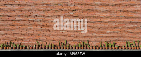 Rangée de Cactus peu dans les pots sur le mur de brique de base sur la journée ensoleillée Banque D'Images