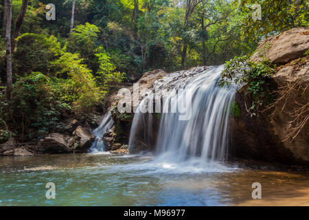 Dans la région de Mae Sa Doi Suthep et le parc national de Doi Pui,Chiang Mai, Thaïlande Banque D'Images