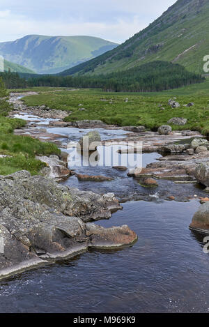 Un ruisseau de montagne wends son chemin doucement le fond de la vallée de Glen Doll, partie de la Parc de Cairngorm dans les Highlands écossais. Banque D'Images