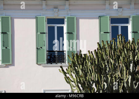 Big Cactus en face d'une maison à Menton sur la côte d'Azur Banque D'Images