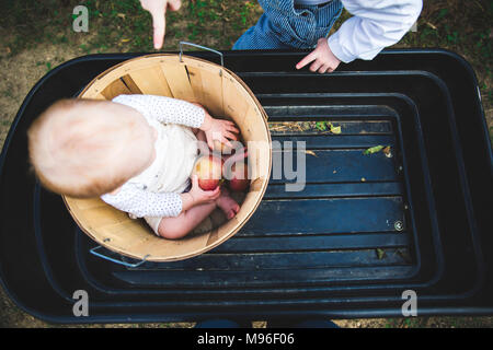 Baby sitting dans panier apple Banque D'Images