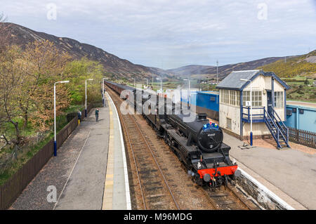 La Grande-Bretagne IV collecteur double train à vapeur avec cinq moteurs noir 45407 et 44871 sont arrivés dans le nord de l'Écosse Helmsdale Banque D'Images